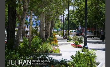 مراحل آماده سازی گذر پیاده راه استاد شهریار 12