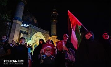 از فلسطین تا آزادی 13