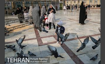 آستان مقدس امامزاده صالح(ع) 8