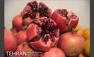 جشن یلدای مهربانی در سامانسرای لویزان 8