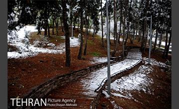 بارش برف پاییزی در بوستان طالقانی 22