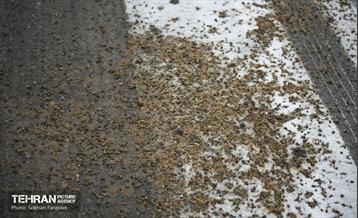 عملیات برف‌روبی در پایتخت 34