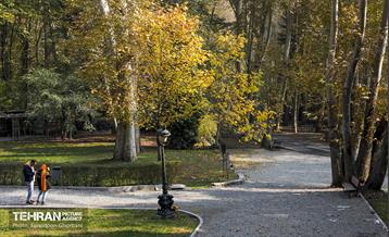 سمفونی رنگ های پاییزی - کاخ سعدآباد 8