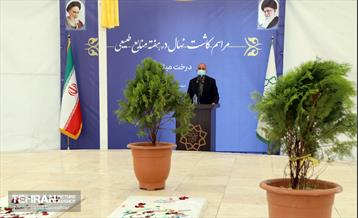 مراسم‌ کاشت نهال در بوستان بهاران منطقه ۱۷