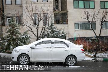 بارش نخستین برف پاییزی در تهران 14