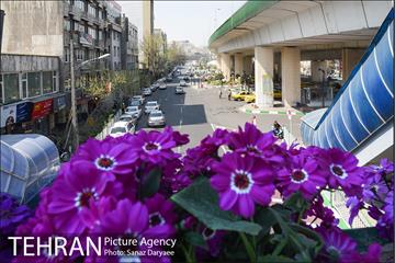 گل آرایی پل سیدخندان 19