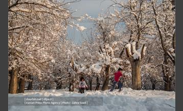 محله ده ونک در روزهای برفی تهران 6