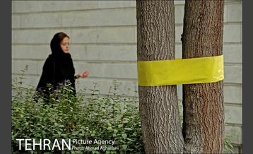 یوسف آباد، بی باغ و بی آسیاب 15