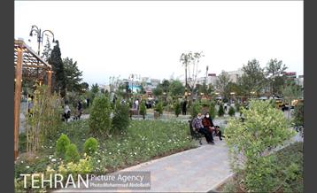 بازپیرایی بوستان قمربنی هاشم(ع)در شب میلاد امام رضا(ع) 17