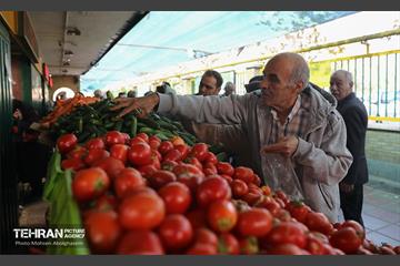تره‌بار یلدایی 23