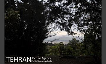 پارک جنگلی لویزان‎ 32