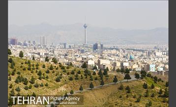 بوستان جنگلی کوهسار 24