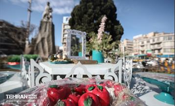 استقبال از بهار (2) 2