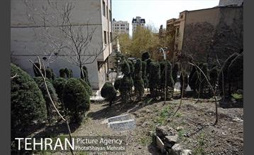 گورستان جوزدرختک (آجودانیه) 44