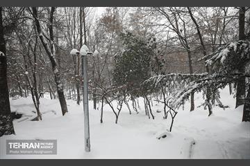 روز برفی تهران - 2 22