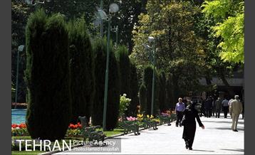 لاله های بهاری پارک شهر 6