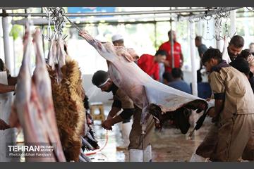 مرکز عرضه دام بهداشتی به مناسبت عید قربان 3