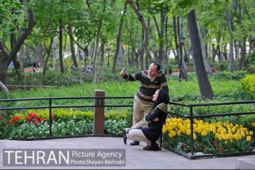 باغ ایرانی (بوستان مهندس مختاری) 41