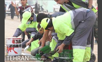 فعالیت های منطقه 2 شهرداری تهران در شهر کوت عراق برای زائرین اربعین حسینی 7