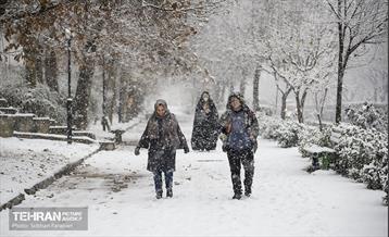 بارش اولین برف زمستانی در تهران 8