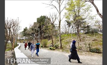 بوستان طالقانی 10