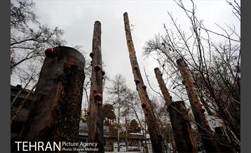 بارش باران در تهران 3