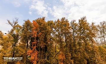 رود دره فرحزاد 57