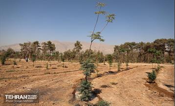 بازدید اصحاب رسانه از روند انجام عملیات احیای چیتگر 3