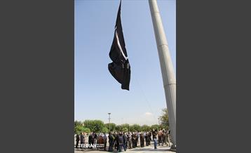 جلسه و بازدید میدانی جعفر شربیانی از منطقه ۲۰