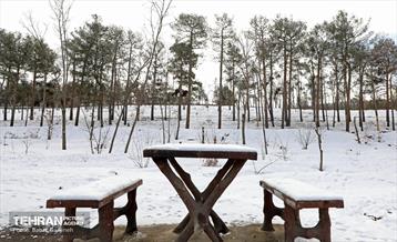 روز برفی در منطقه 13 17