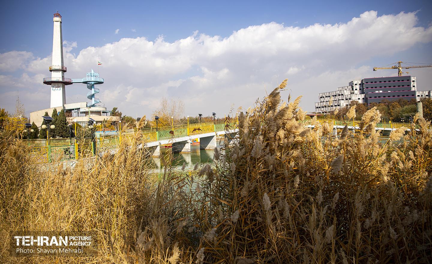 سمفونی رنگ های پاییزی - بوستان رازی 17