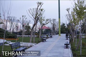 شب های آرام تهران 11