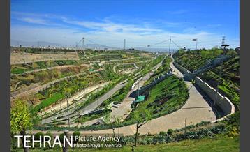 بوستان نهج البلاغه 11