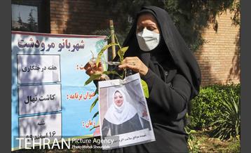 مراسم روز درختکاری در منطقه 7