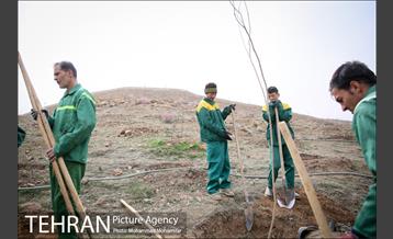 آئین کاشت نهال در بوستان جنگلی سرخه حصار 21