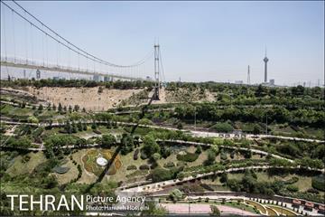 بوستان نهج البلاغه 19