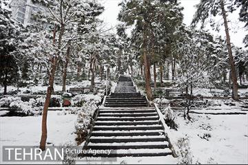 بارش برف زمستانی در تهران 15