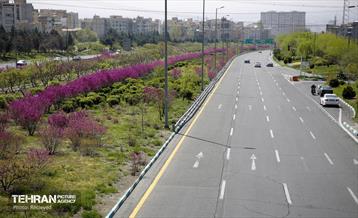 هوای بهاری منطقه 5 32