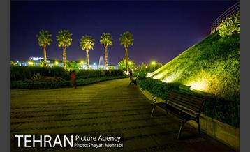 شب های باغ هنر 24