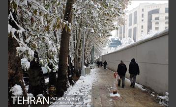 بارش اولین برف پاییزی در تهران 20