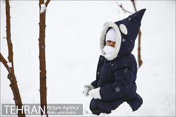 تفریحات برفی در پارک پردیسان تهران 12