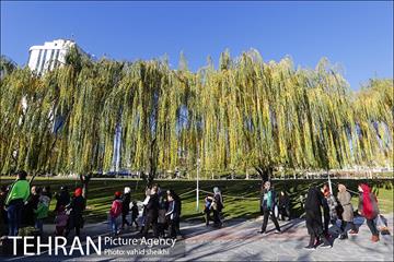 همایش بزرگ پیاده روی خانوادگی شهرداری تهران  20