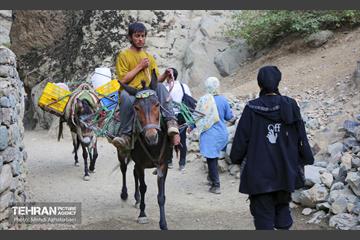 یک روز تعطیل در درکه 13