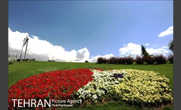 طبیعت بهاری بوستان پلیس  3