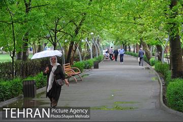 باران بهاری در تهران - 2 14