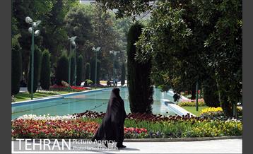 لاله های بهاری پارک شهر 17