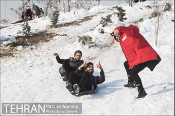 جشنواره مجسمه های برفی 7