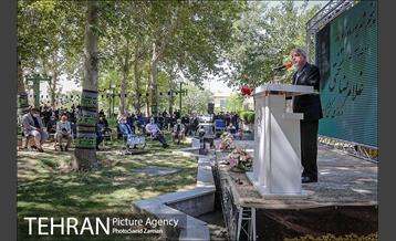 روز ملی کشتی 5