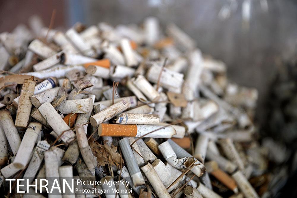 طرح پاکسازی پارک شهر تهران از فیلترهای سیگار  6