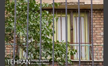 پنجره های شهر تهران 13